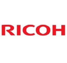 Ricoh heater 230v - 550w