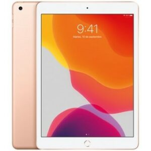 Apple ipad wifi 32gb - 10.2pulgadas - gold